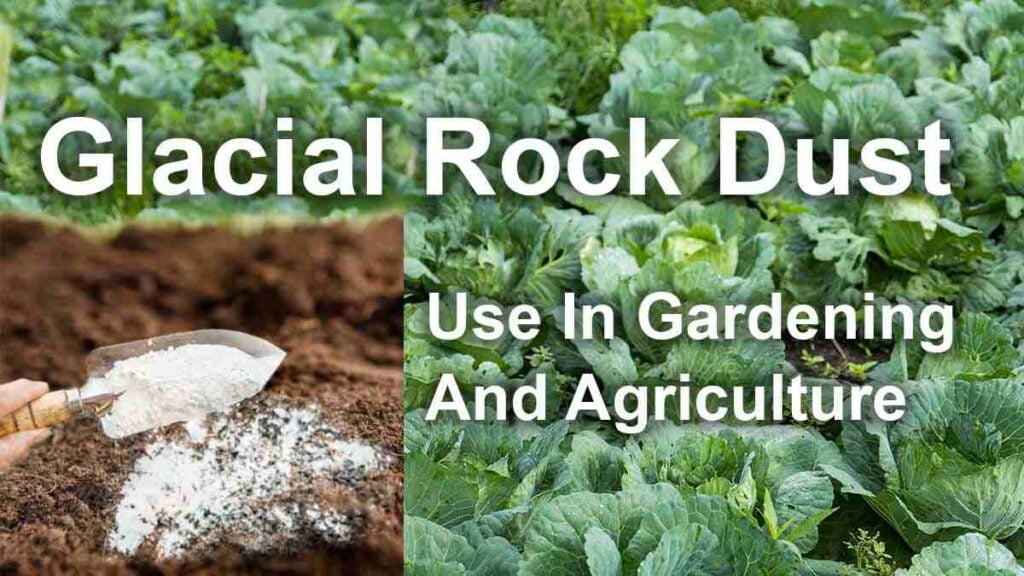 Glacial Rock Dust