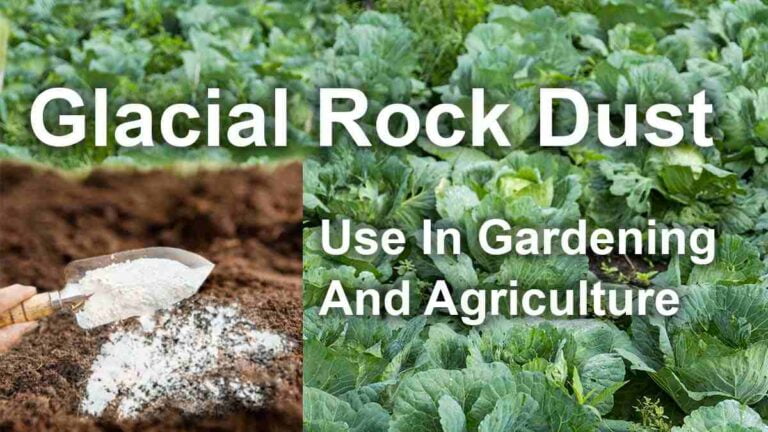 Glacial Rock Dust