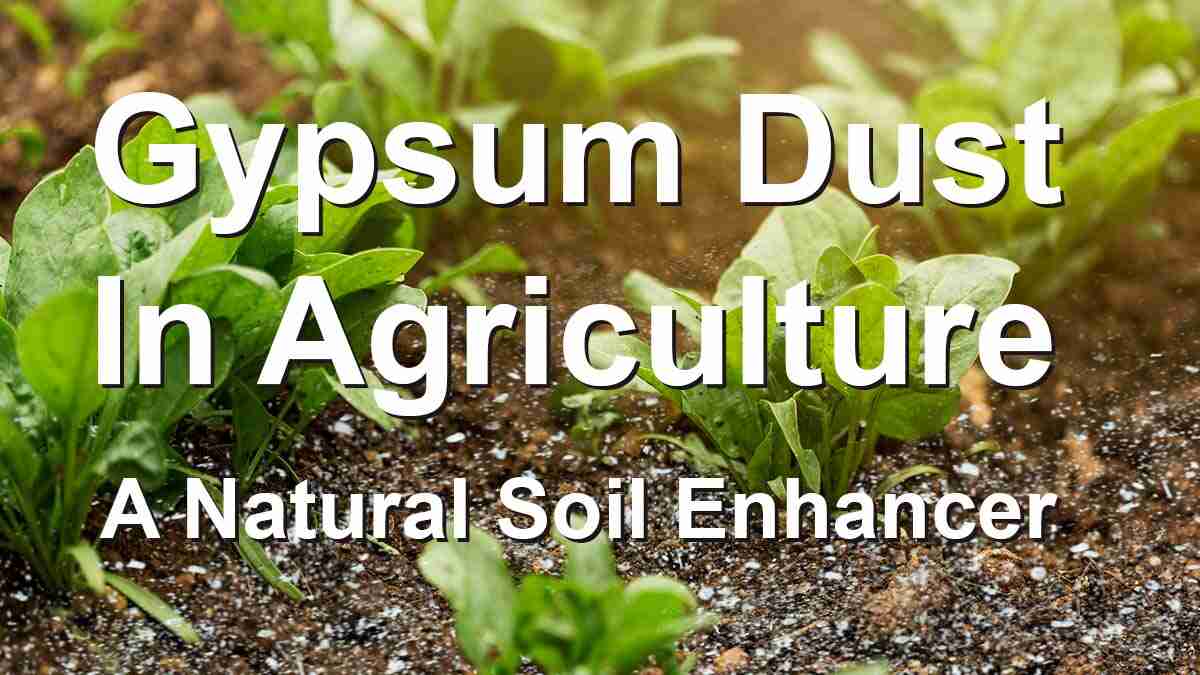 Gypsum Dust Soil Amendment