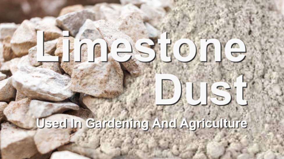 Limestone Dust