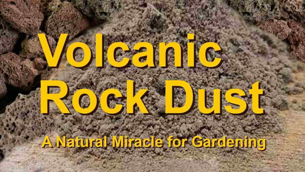 Volcanic Rock Dust