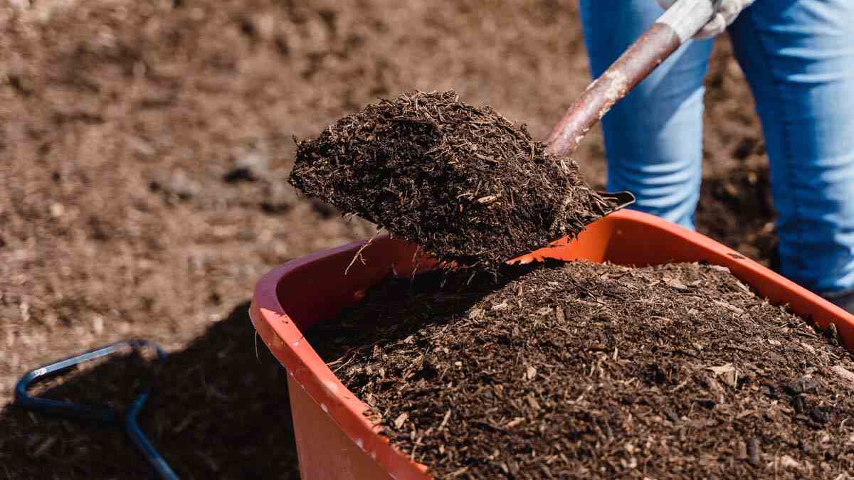 Sawdust Mulch and Compost